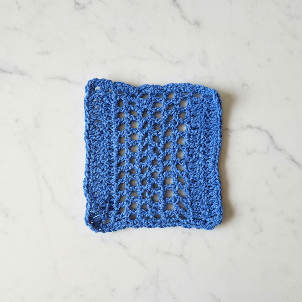 Light Blue Dish Cloth Crow's Perch Artworks